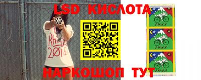 ПСИЛОЦИБИНОВЫЕ ГРИБЫ Кунгур