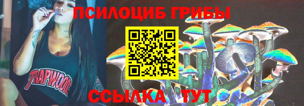 Альфа ПВП Елабуга