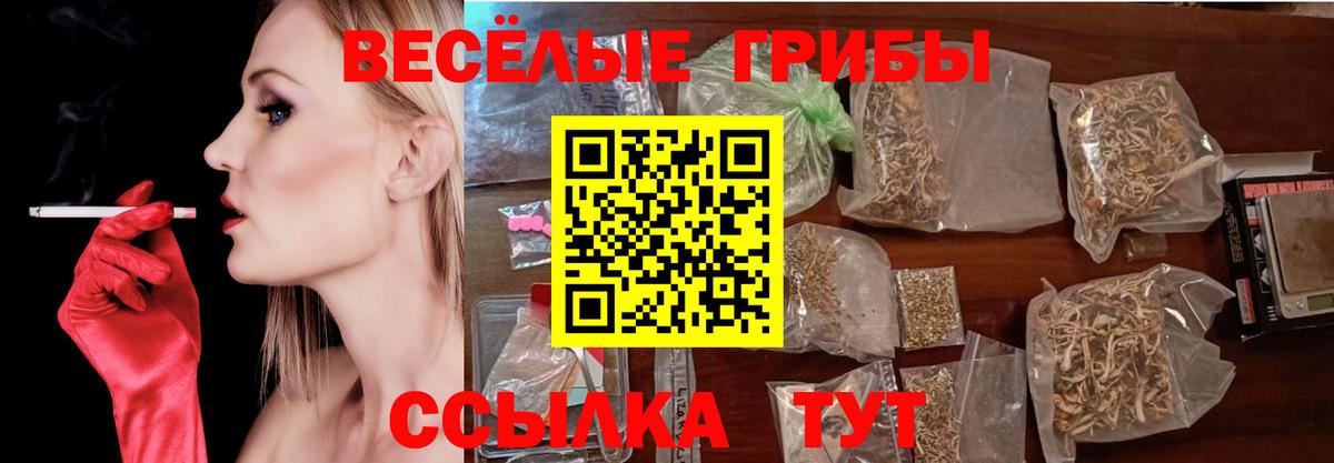 Галлюциногенные грибы MAGIC MUSHROOMS  Вход с VPN  Елабуга 
