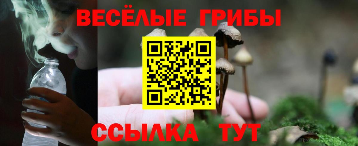 Псилоцибиновые грибы GOLDEN TEACHER Елабуга